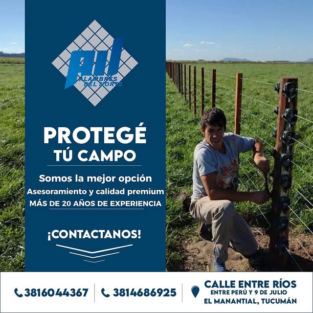 Proyecto de Alambrado Rural
